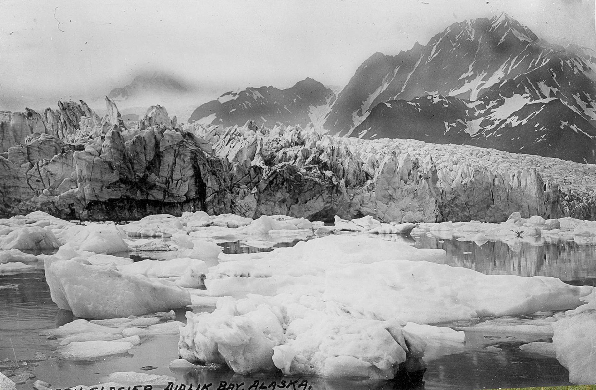Bruce Molnia Glacier Photos Pedersen Glacier View2 1920s