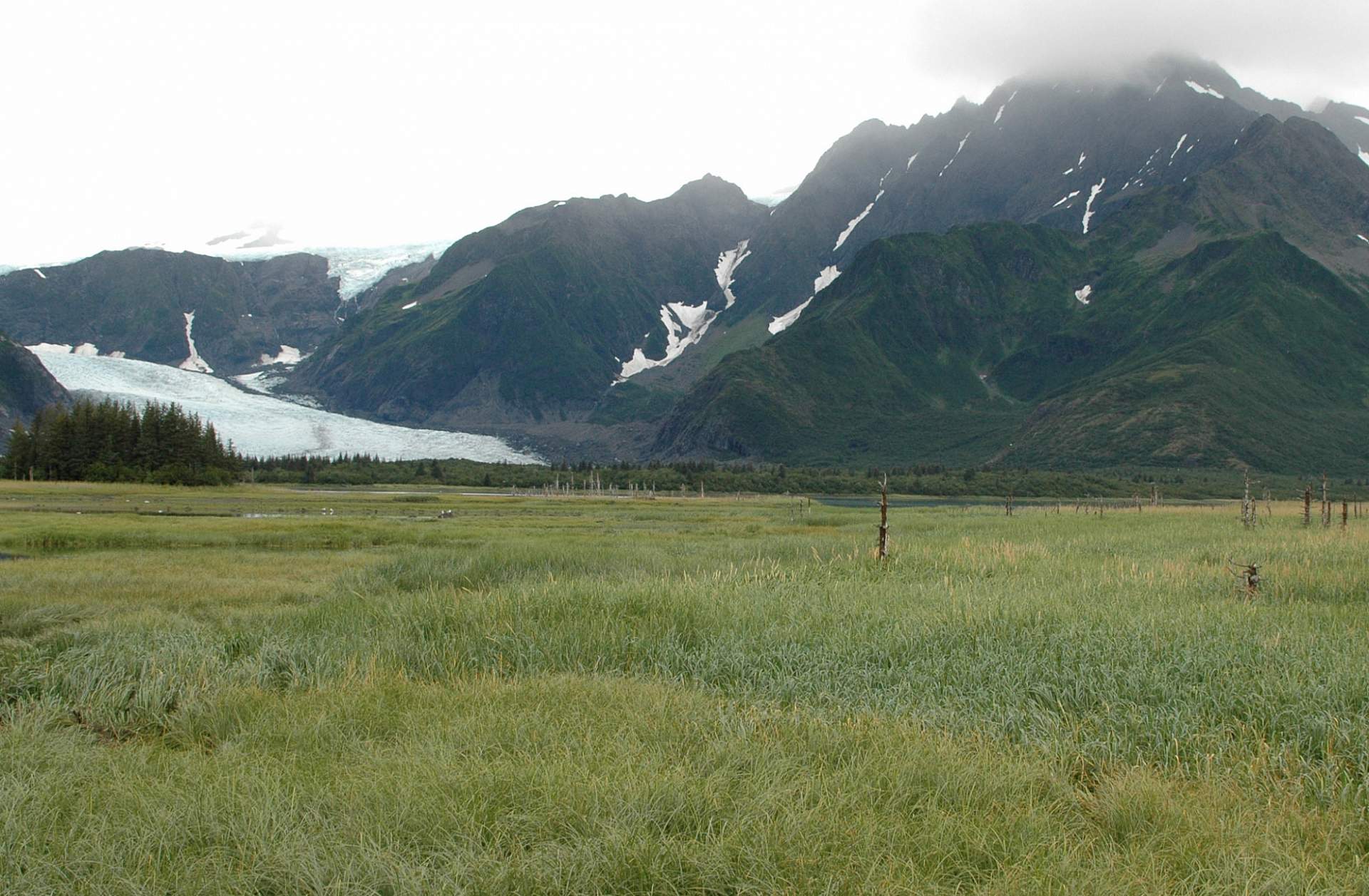 Bruce Molnia Glacier Photos Pedersen Glacier View2 2005