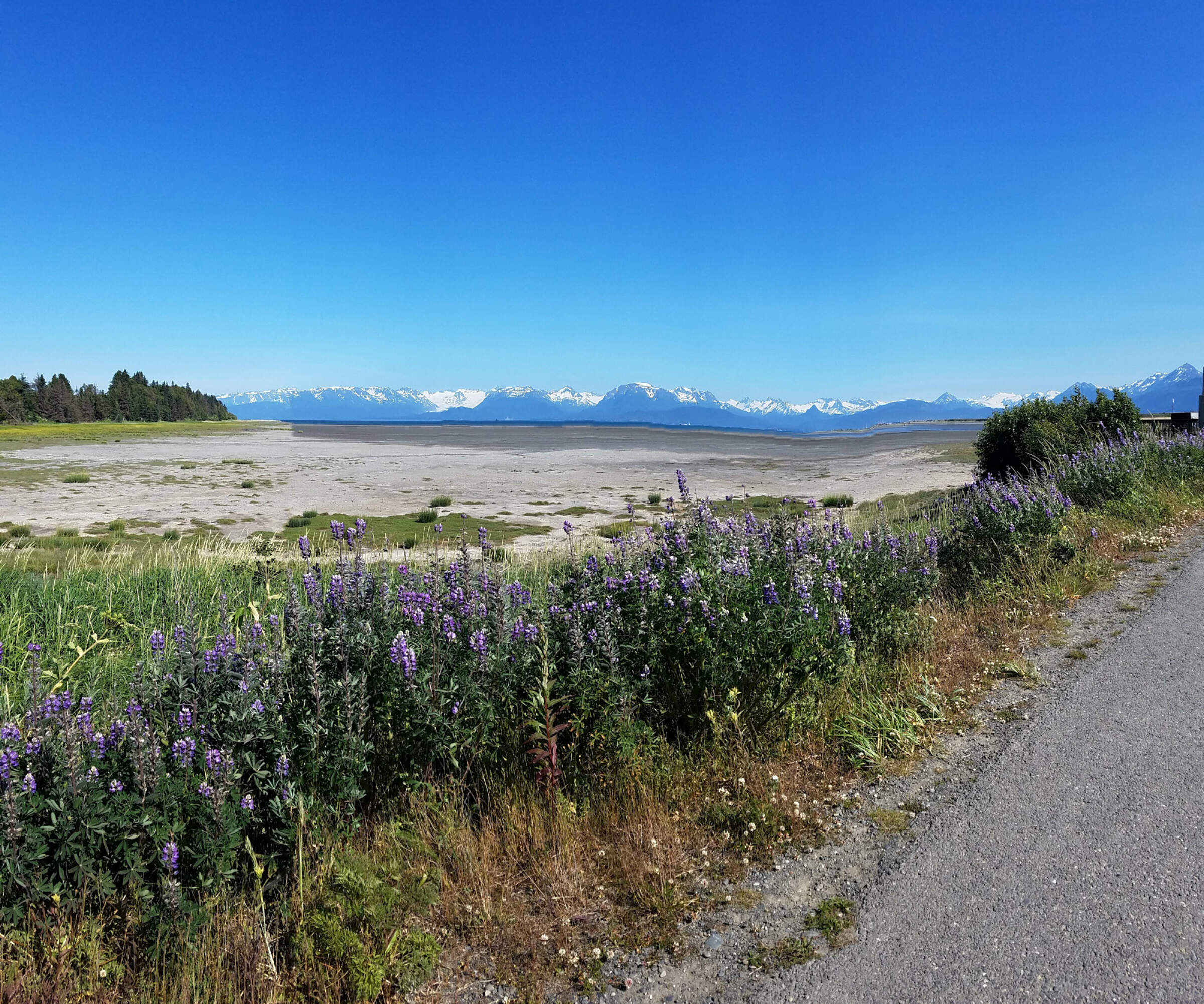 Homer Spit Trail 20190630 163620best bike trails in alaskaalaska org alaska org winter photo contest