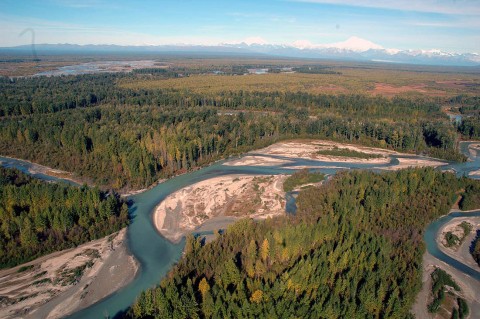 Susitna River Valley Braided Channels