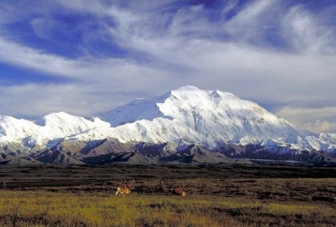 North Faceof Denali IMG0083