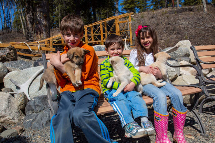 16 A1227 OL Dalaska org denali national park with kids