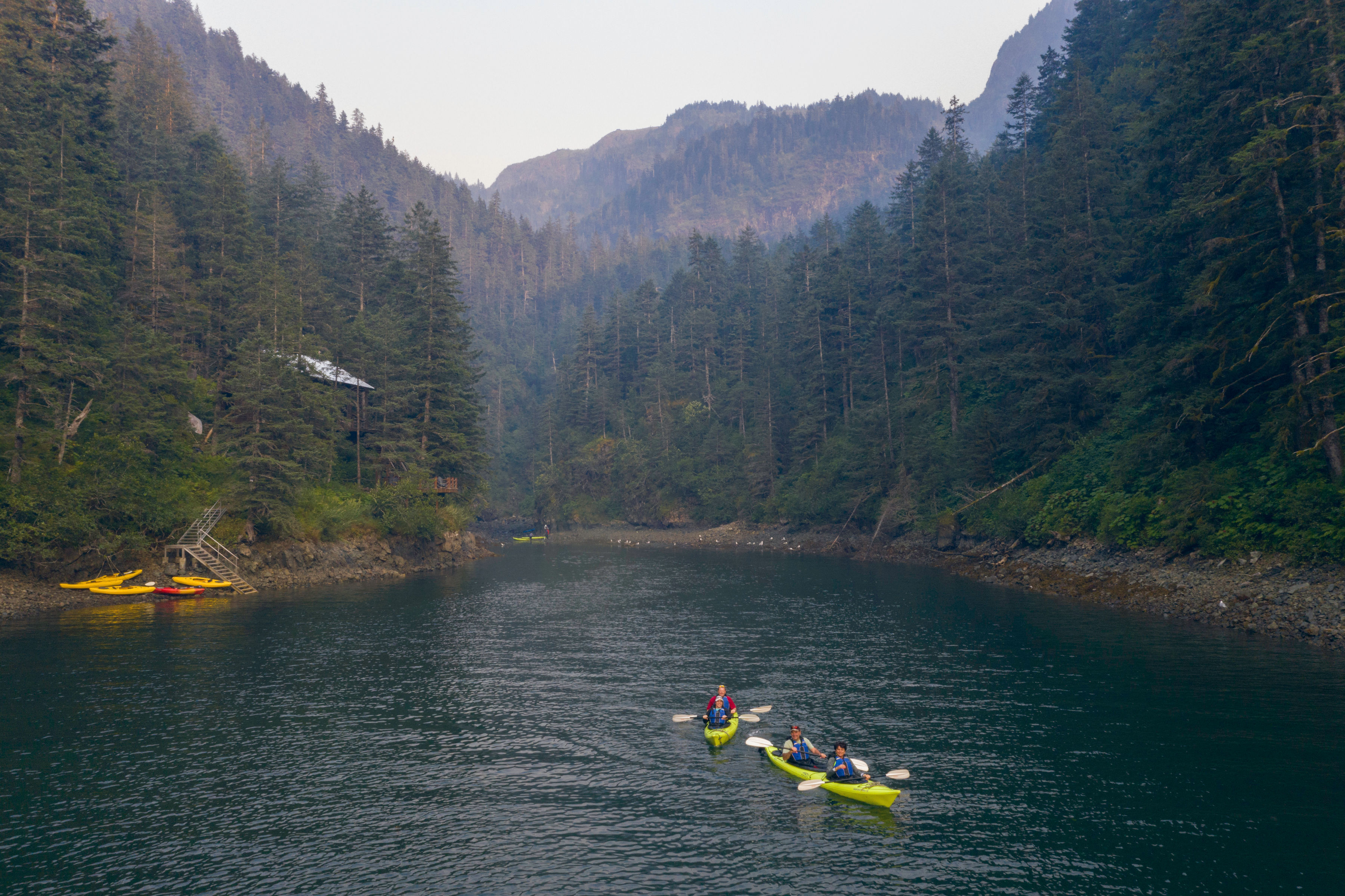Shearwater Cove kayaking