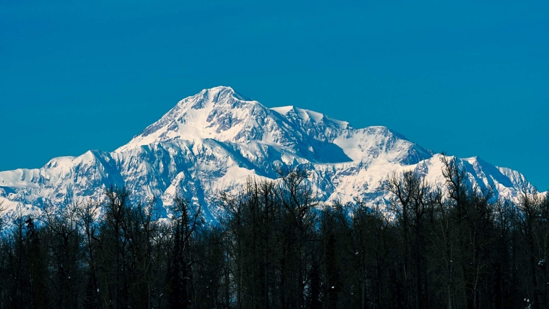 Mt Denali 1