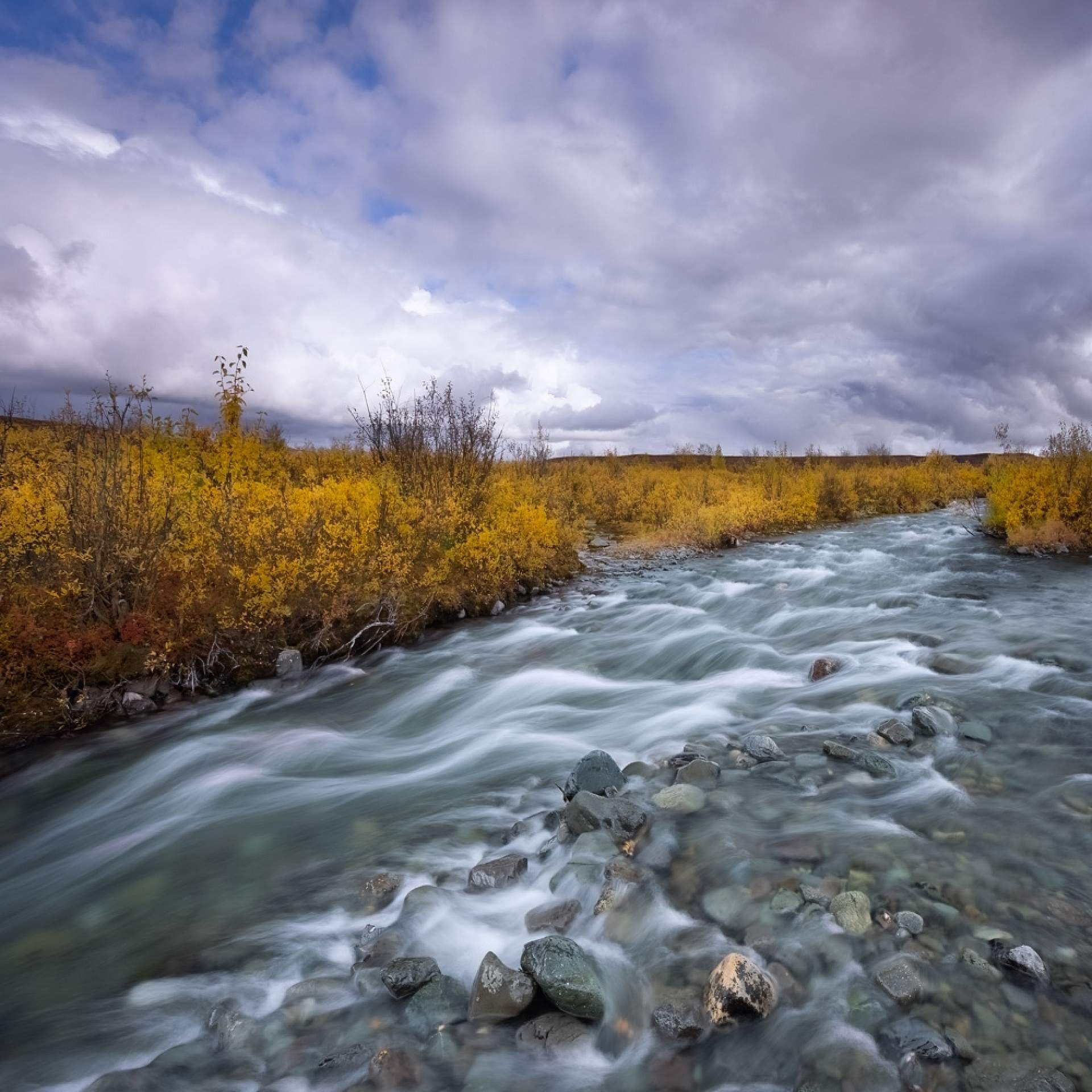 Scenic drive serving up remarkable panoramas of the Alaska Range