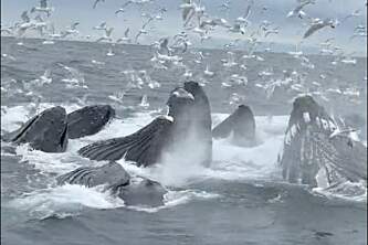 Screenshot 2025 11 03 at 10 19 37 AM