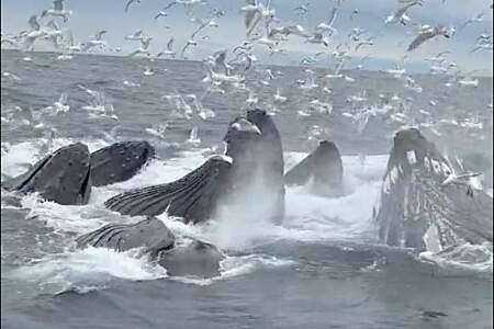 Screenshot 2025 11 03 at 10 19 37 AM