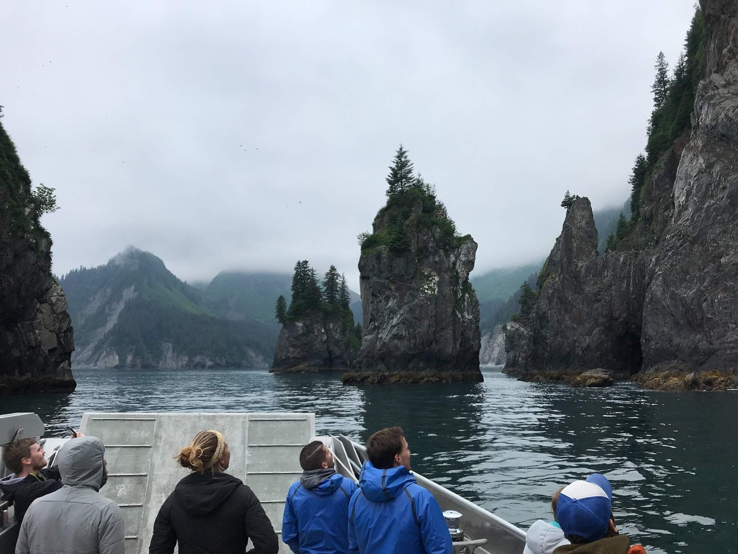 Guests look at Fjords in Kenai Fjords National Park