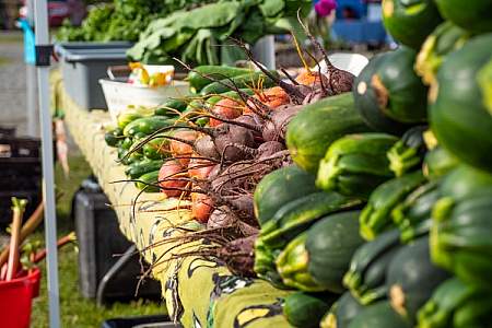Wednesday Market Soldotna 27 alaska untitled