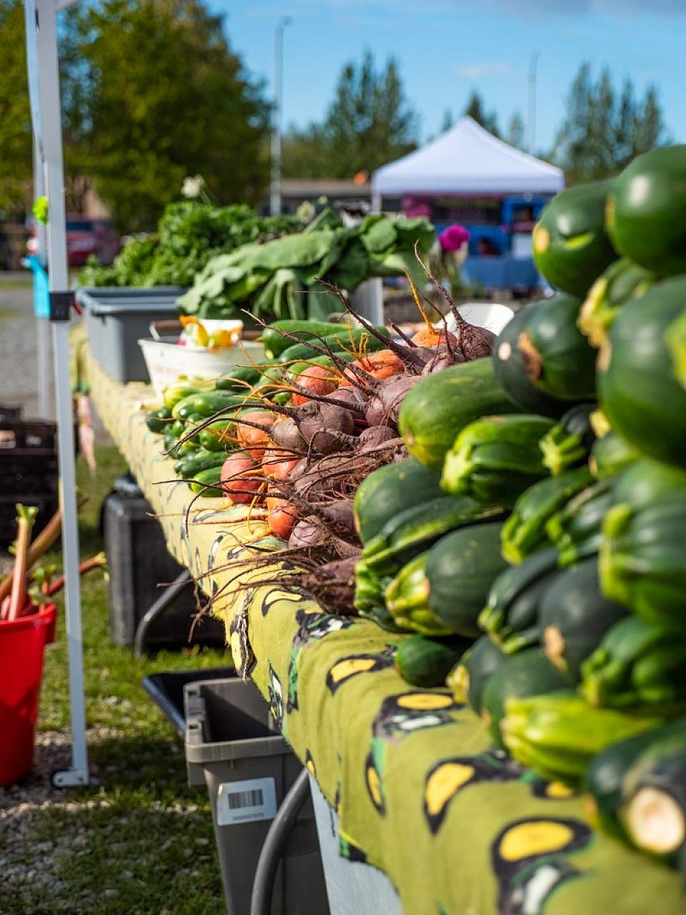 Fresh veggies lined up at Soldotna's Wednesday Market