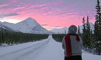 Alaska Arctic Tours