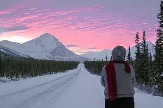 Alaska Arctic Tours