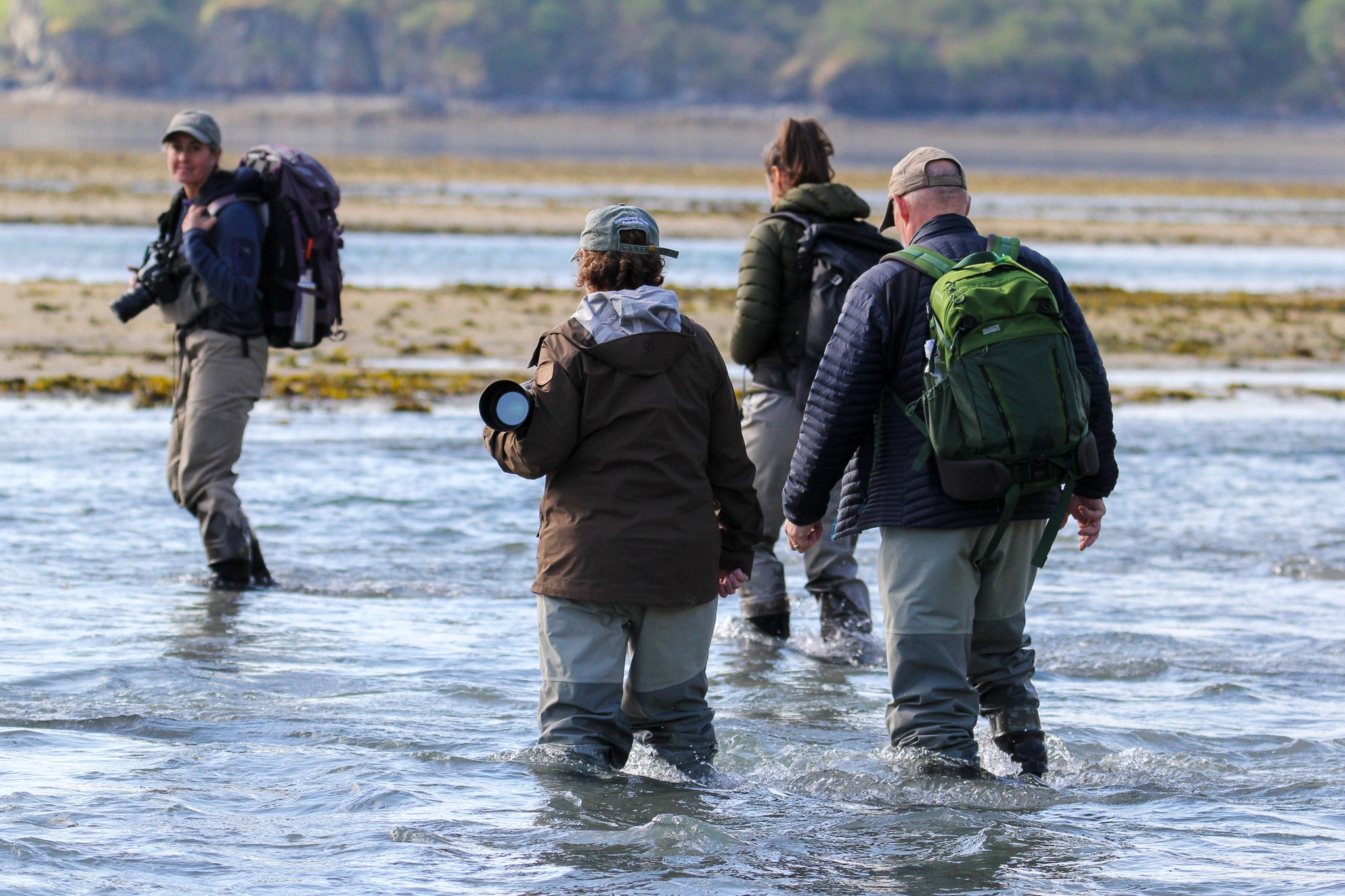 Alaska Bear View Tours Debbi Hammond