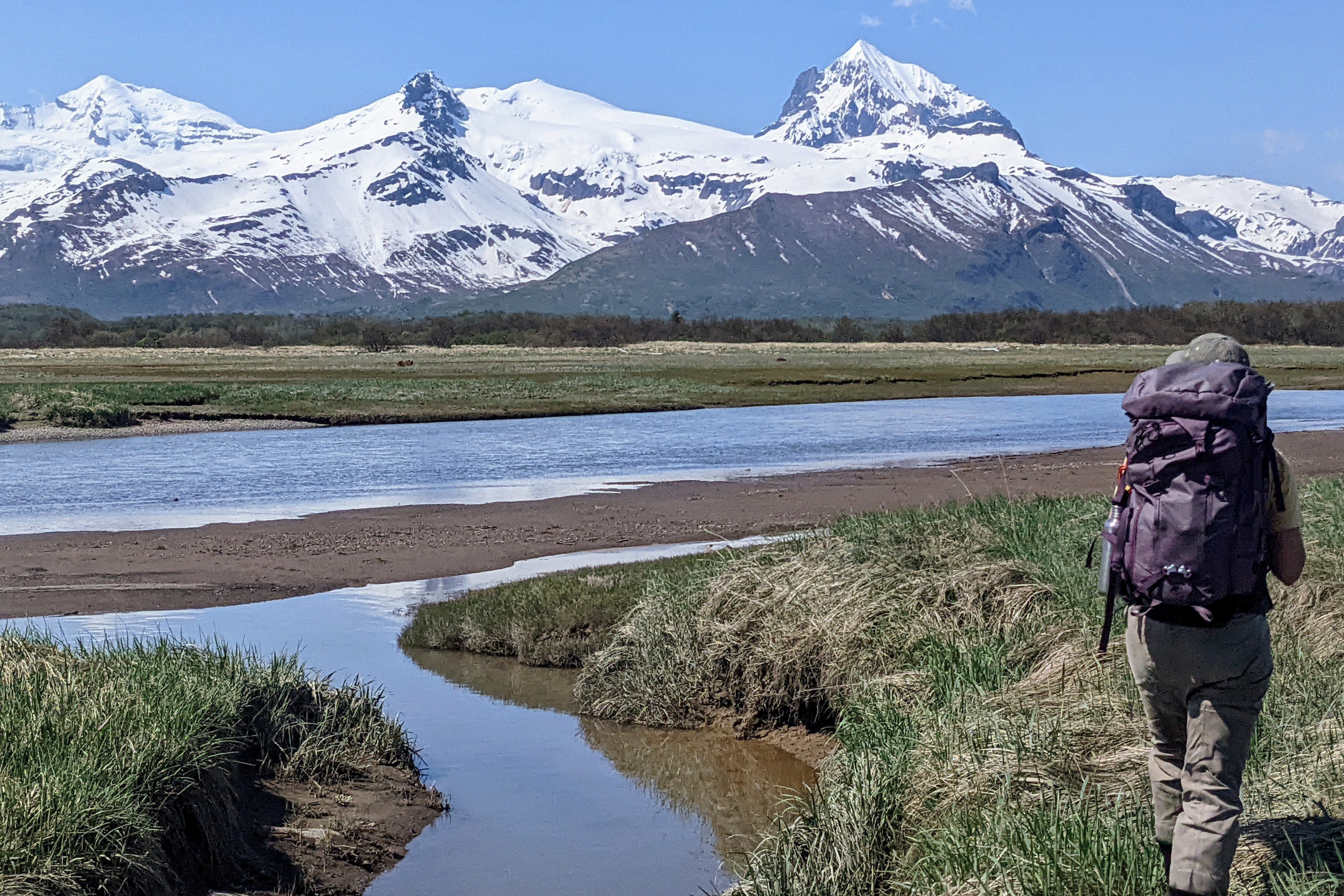 Alaska Bear View Tours Jaime Hammond