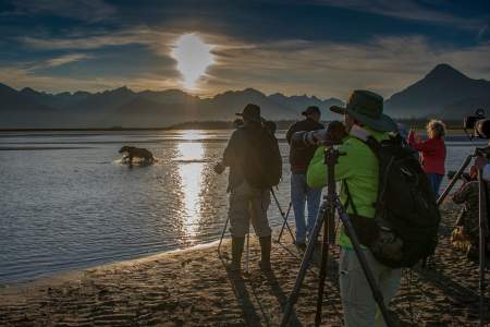 Alaska photo workshops tours alaska bearcamp photographers bear
