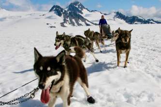 Alaska Dog Sledding Tours Jeannine Audet IMG 9123