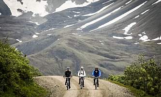 Alaska Bicycle Day Tours