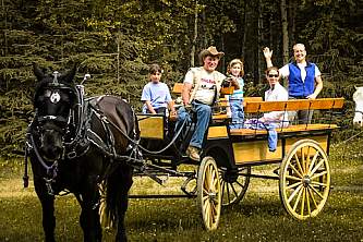 Alaska Horseback Riding