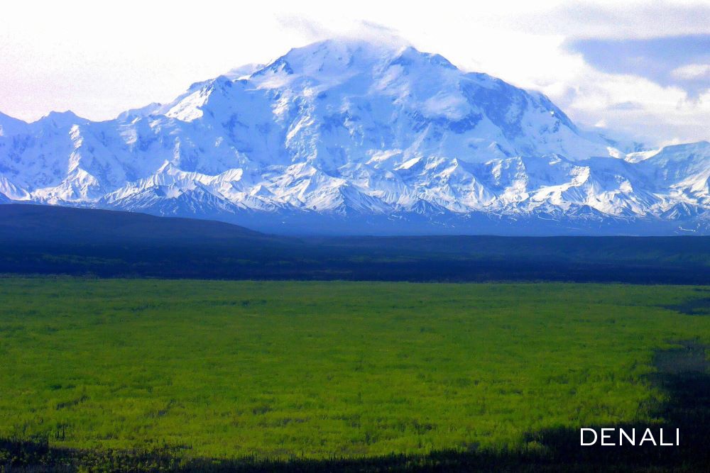 Alaska National Parks Tours, Day and Multi-Day Tours