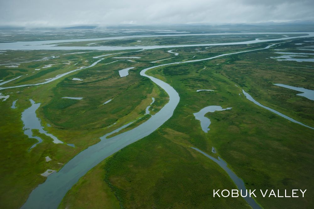 Kobuk Valley 2