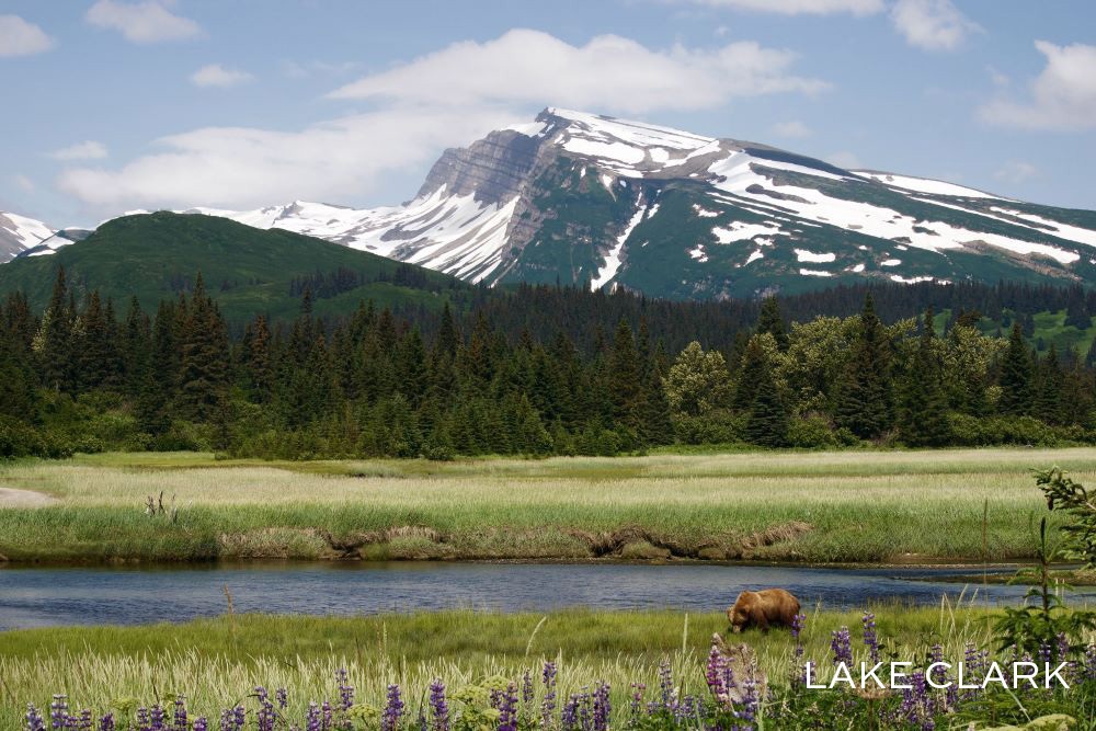 Lake Clark 2