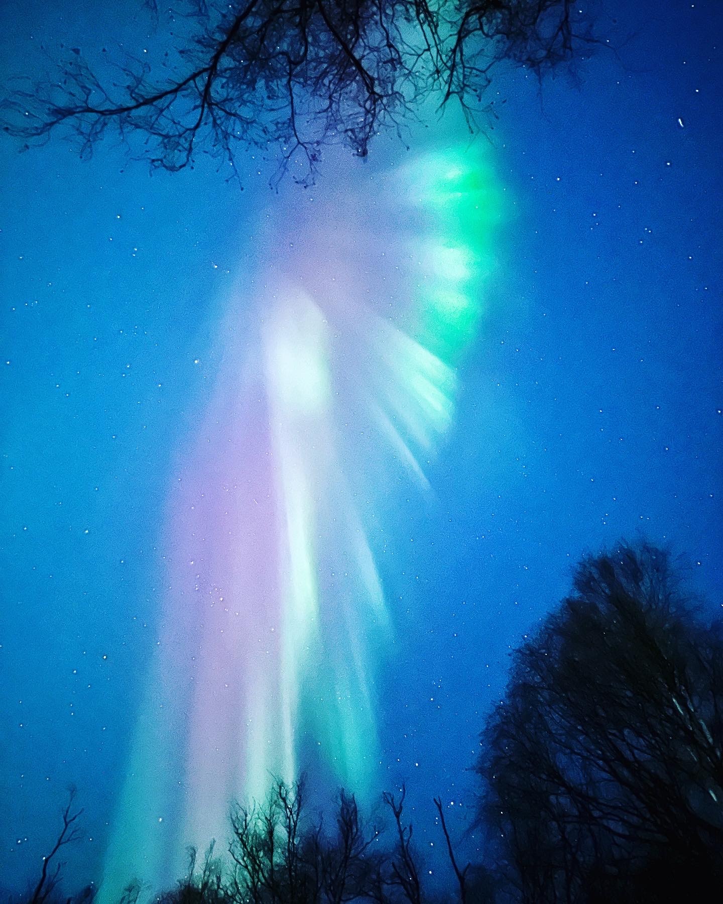 Northern Lights Experiences