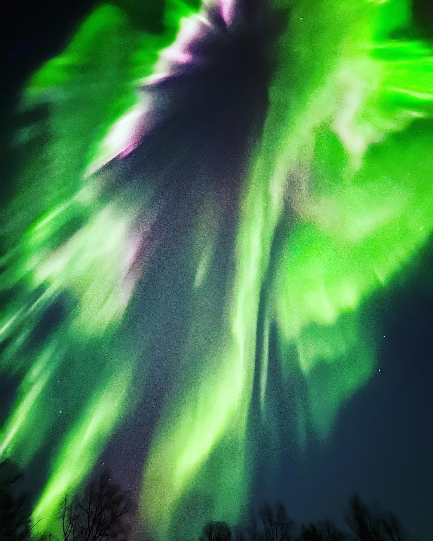 Northern Lights Experiences