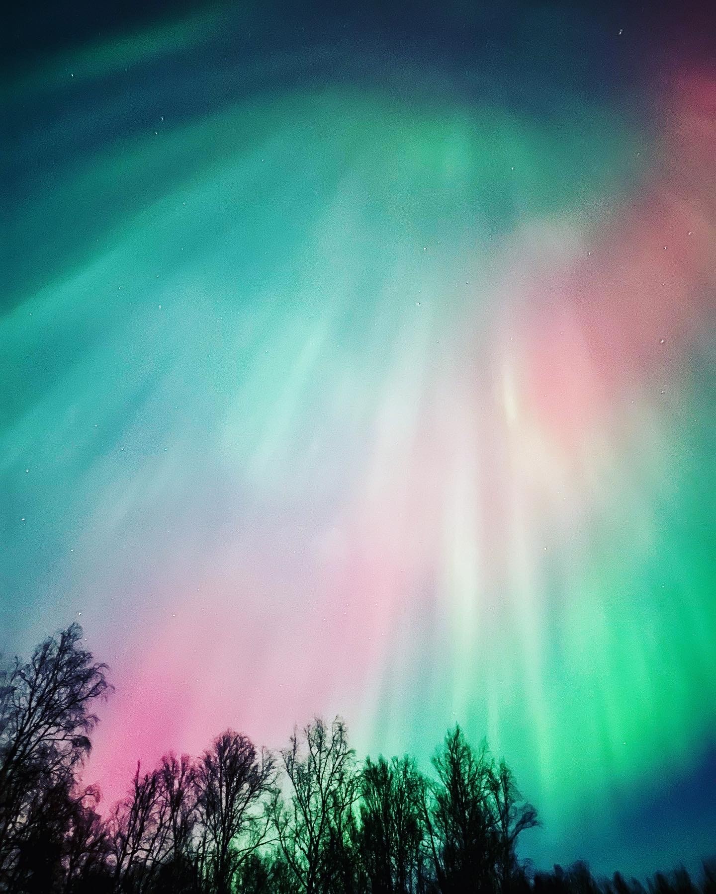 Northern Lights Experiences