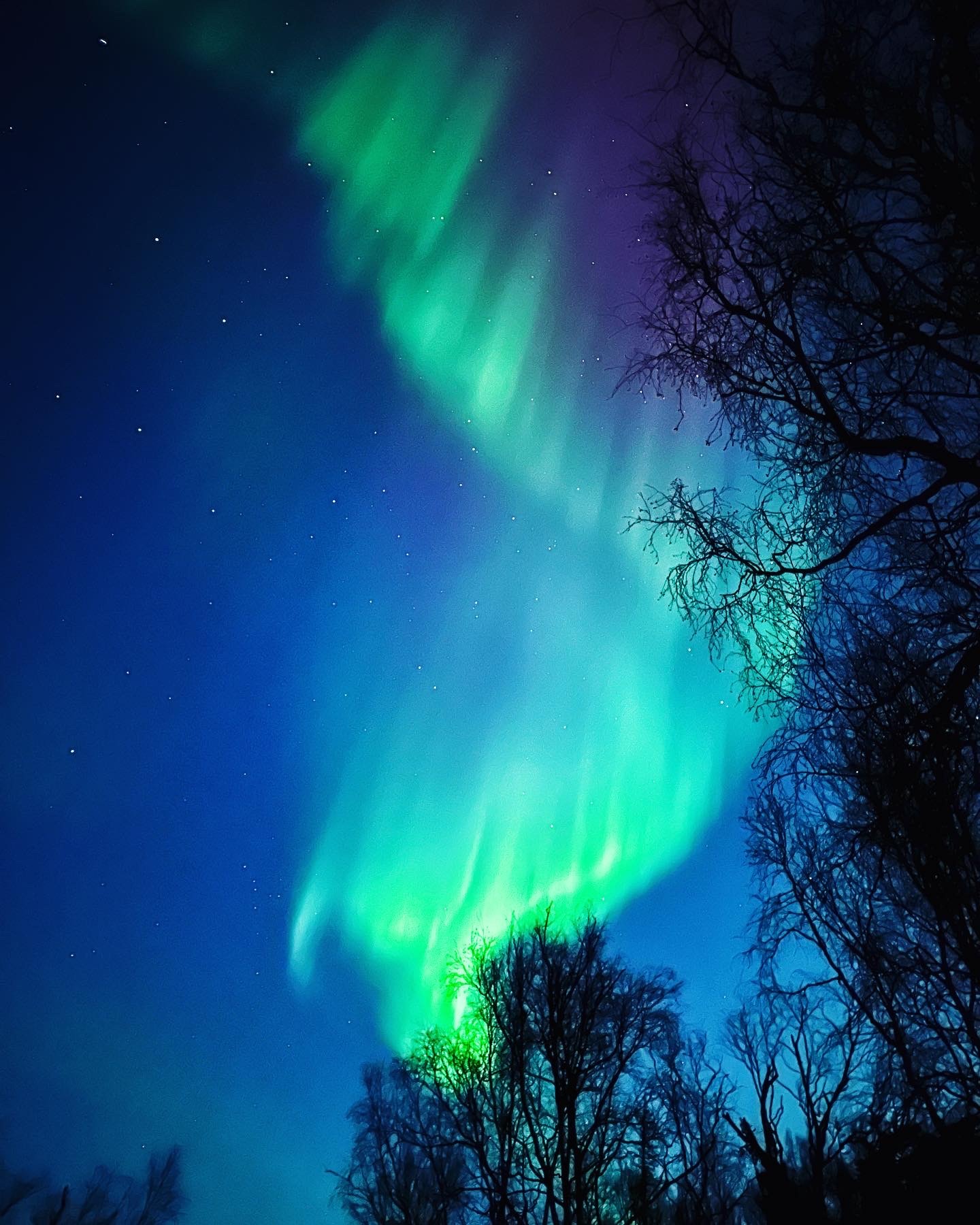 Northern Lights Experiences