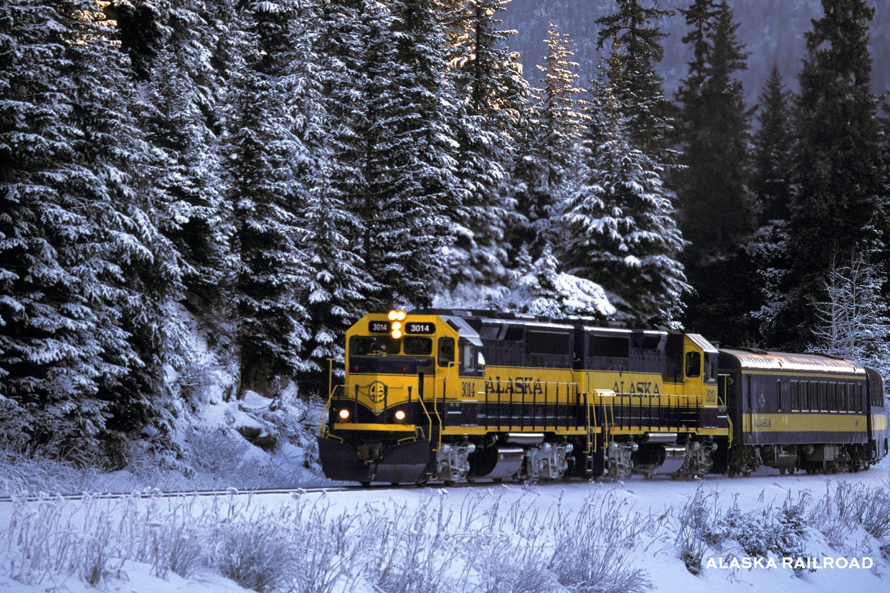 Alaska Railroad Train Experience