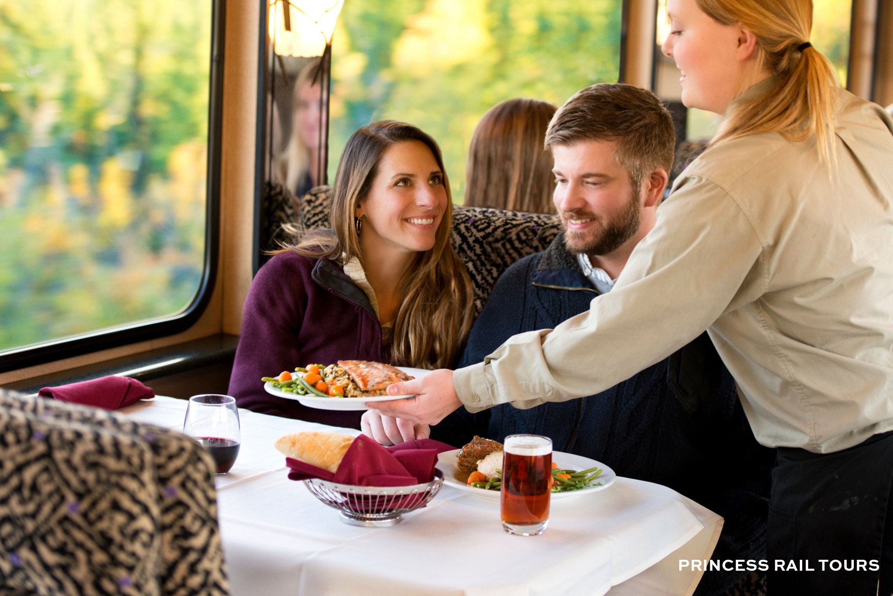 Alaska Railroad Train Experience