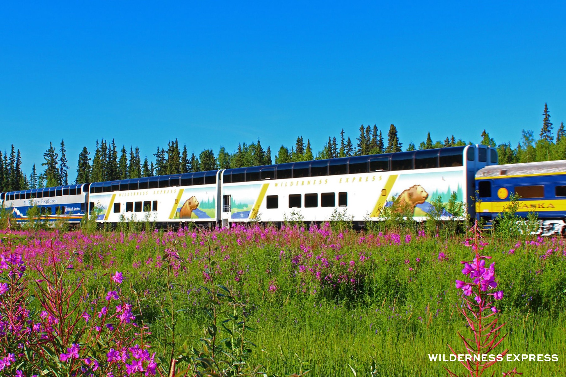 Alaska Railroad Train Experience