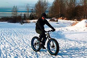 Downtown Bike Rental