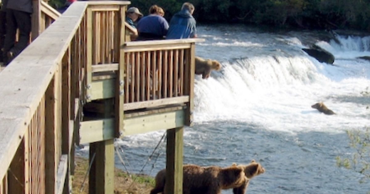 Anchorage Bear Viewing Lodges