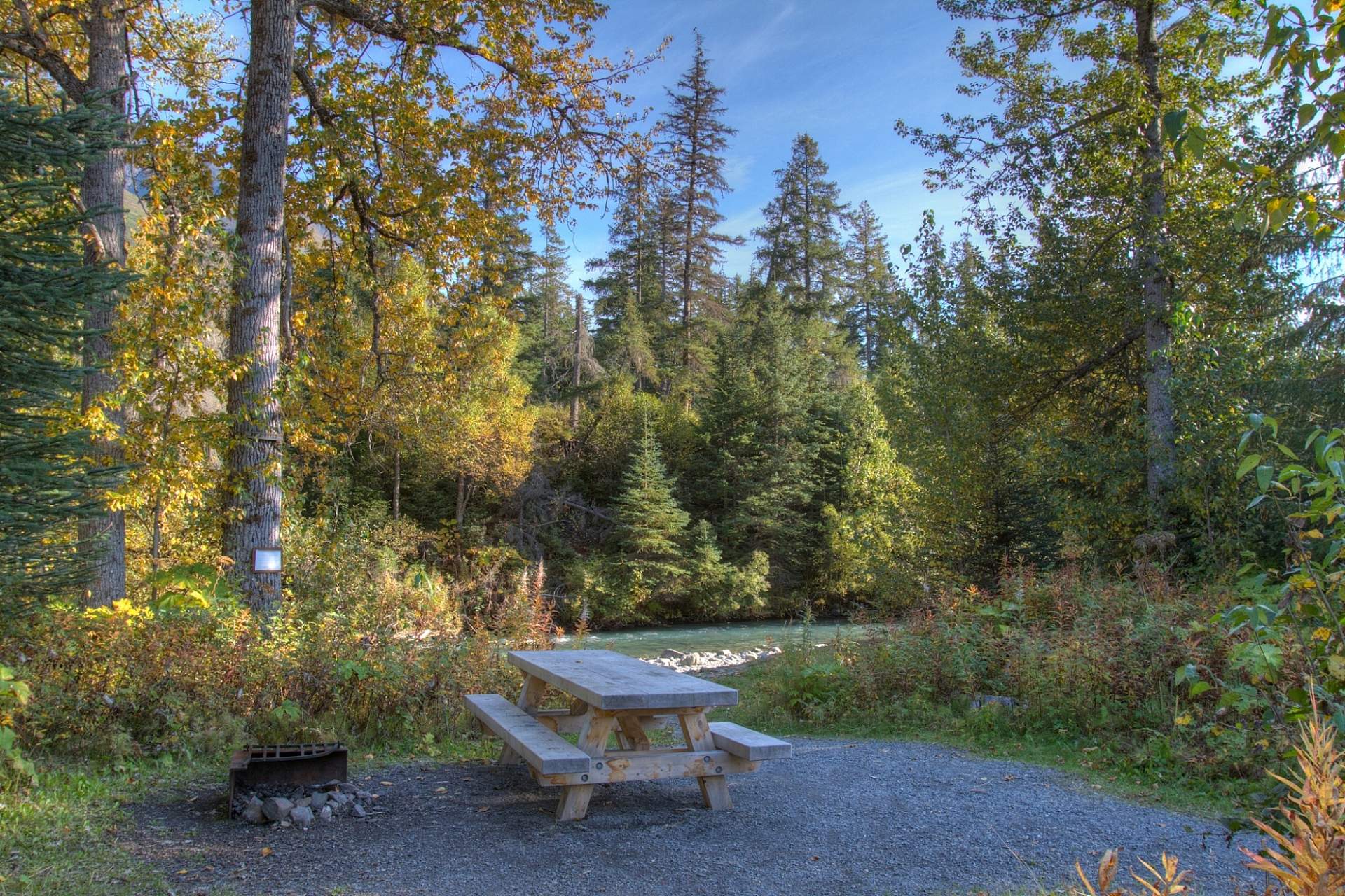 A picnic table in a forest setting at Ptarmigan Creek Campground