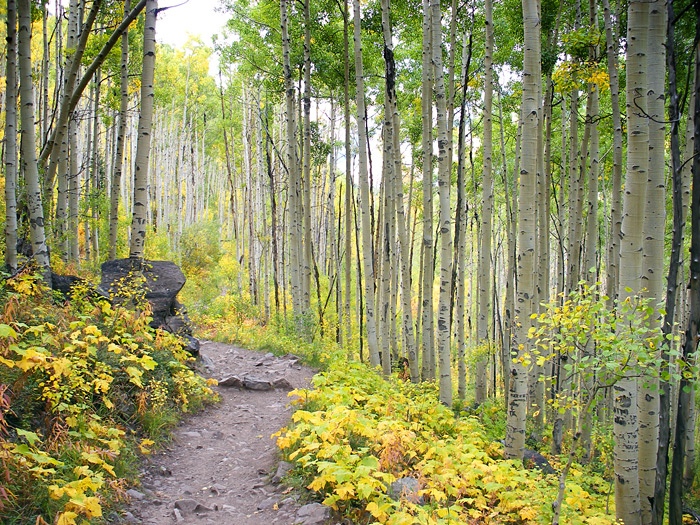 Crater Lake Trail