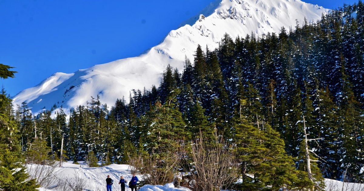 The Best Things to Do in Winter in Cordova, Alaska