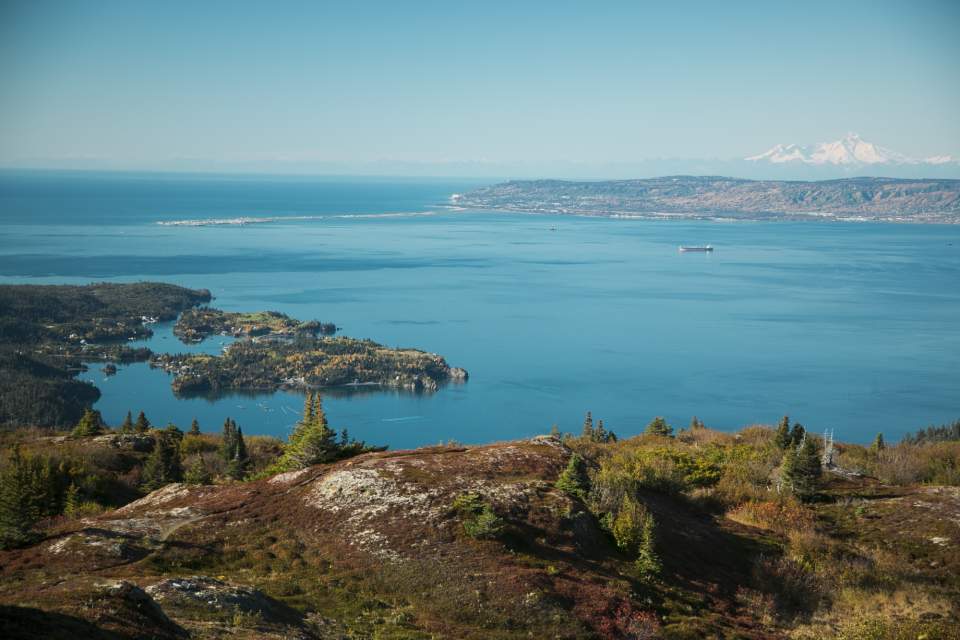Look down on Halibut Cove and the surrounding ocean.
