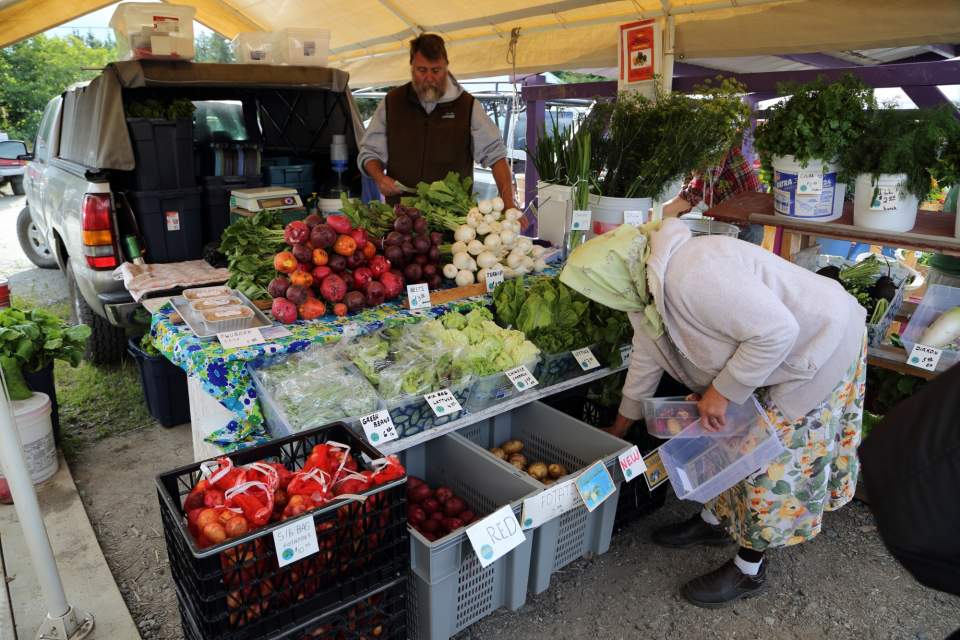 A woman shops for produce at the Homer Farmer's Market
