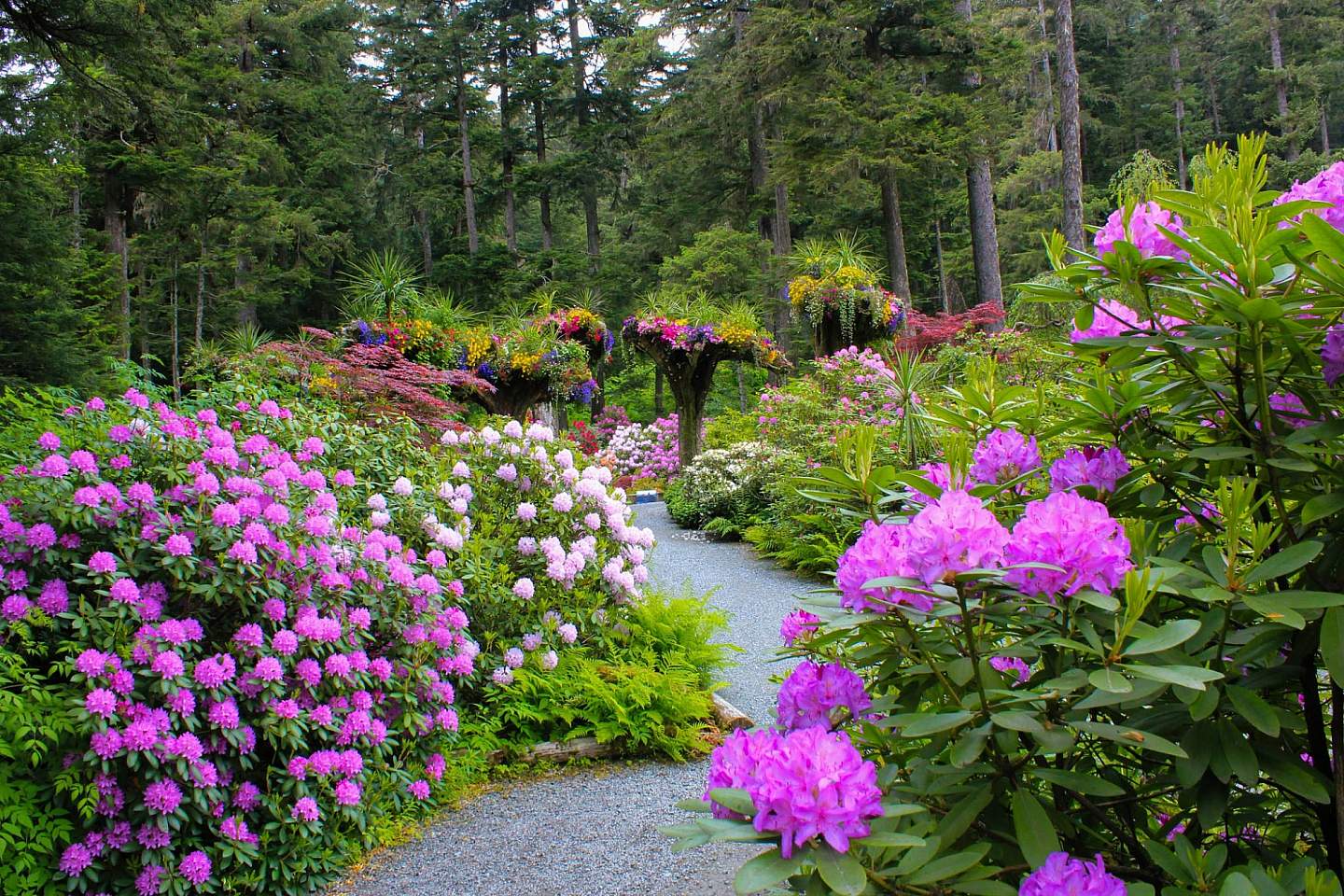 Glacier Gardens Rainforest Adventure 2017 6 June