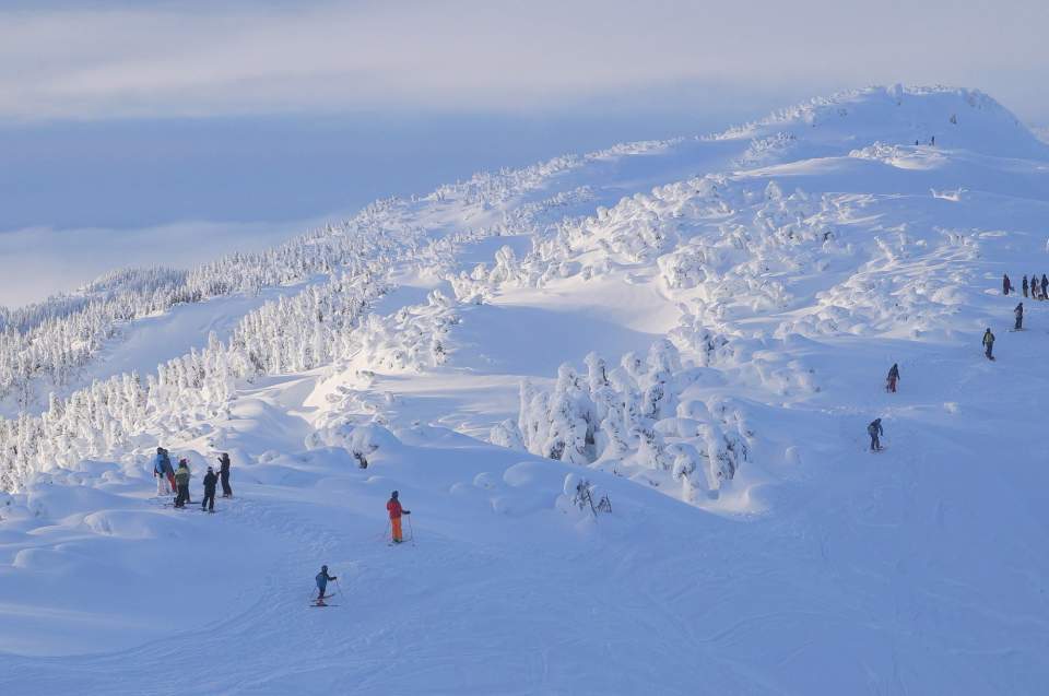 Eagle crest ski area DSC06607 Snow ghosts on Pittmans Ridge at Eaglecrest John Erben