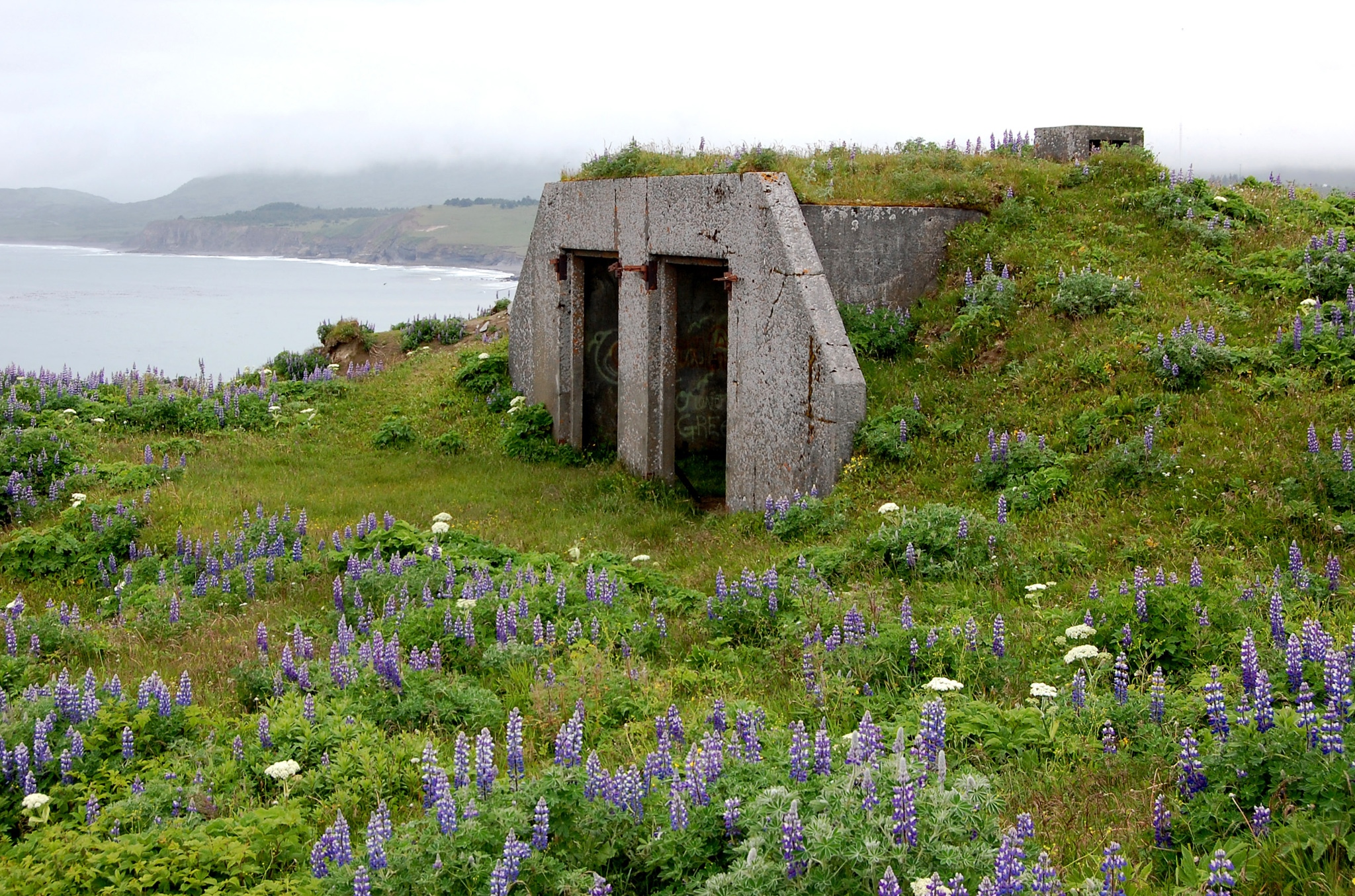 Building remains from Fort Greely on Kodiak Island