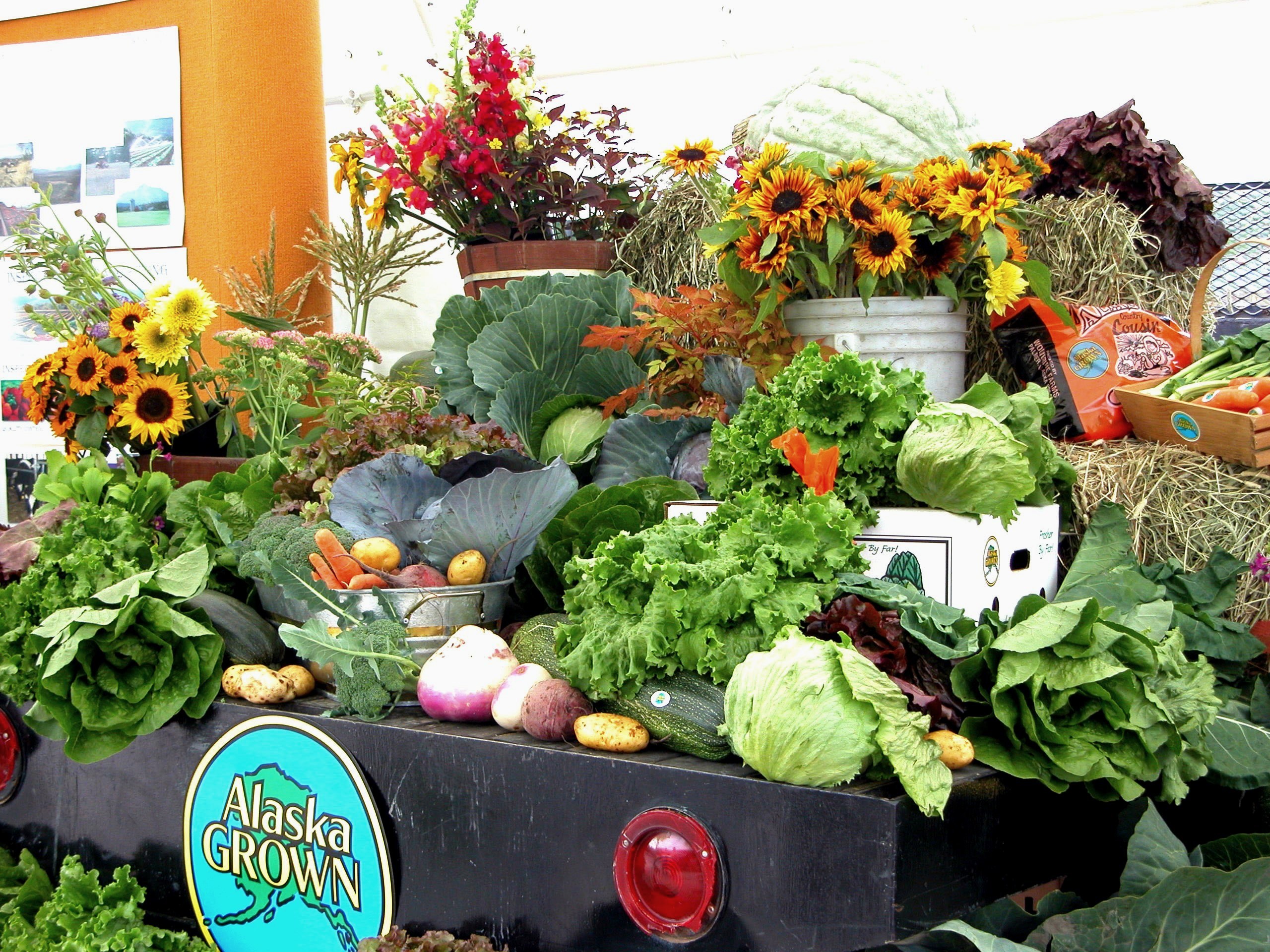 Be sure to check out the impressive agricultural exhibits at the Alaska State Fair