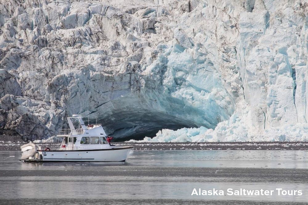 Alaska Saltwater Tours 2