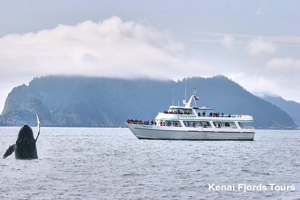 Kenai Fjords Tours 2