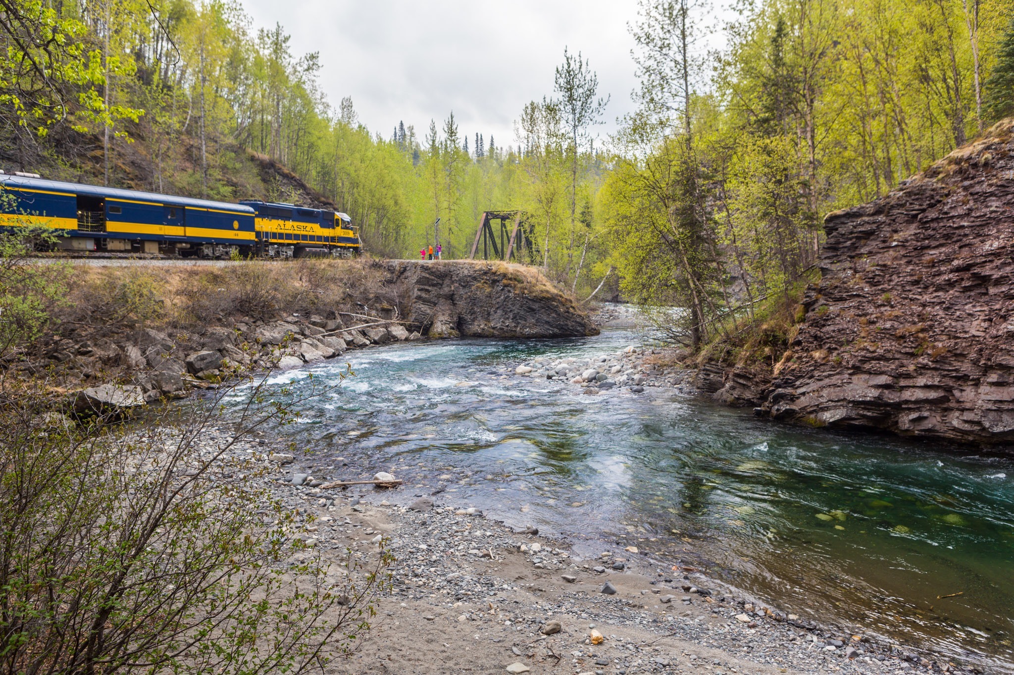 An Alaska Railroad train passes by a river in a forest setting.