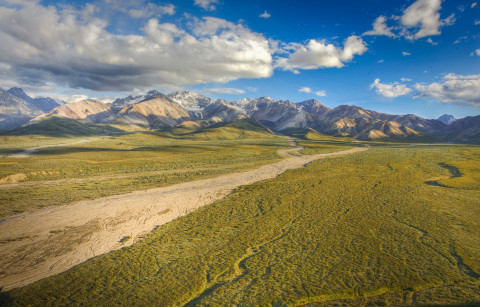Open wilderness in Denali National Park with mountains in the background