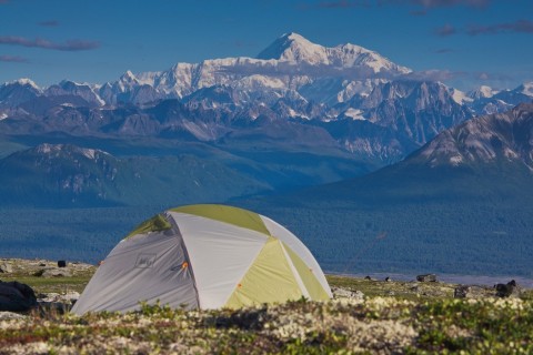View of Denali from the Kesugi Ridge Trail