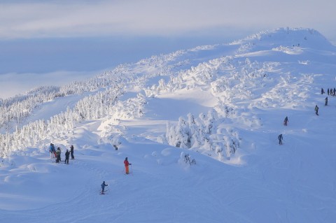 Eagle crest ski area DSC06607 Snow ghosts on Pittmans Ridge at Eaglecrest John Erben