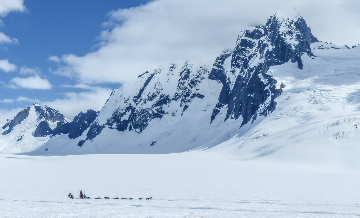 Kerry Howard The Mendenhall Towers loom large over tourists dog sledding on the Juneau Icefield